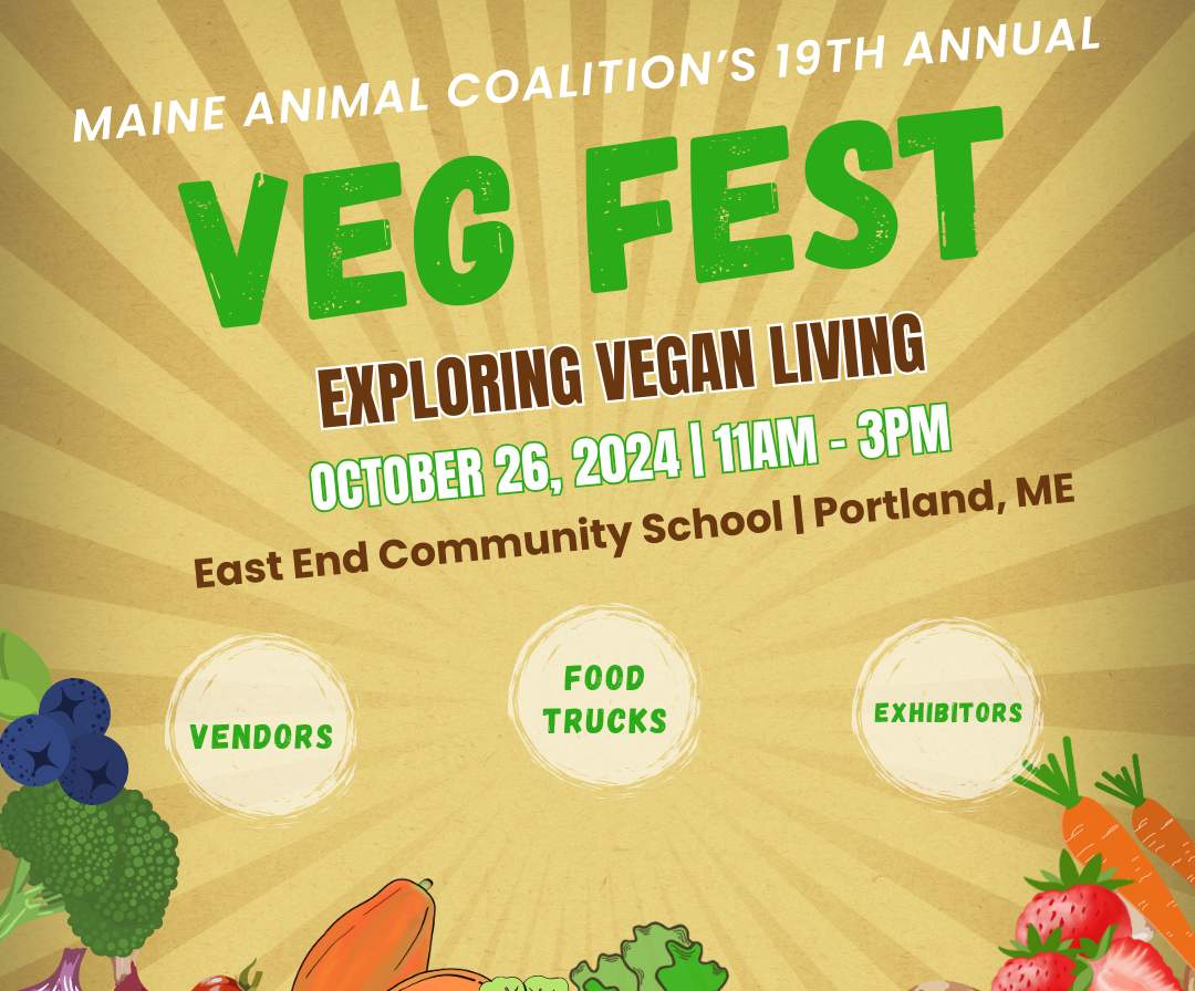 Home Veg Fest 2024